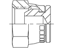 Picture of NSF