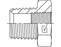 Picture of NTM-NTF