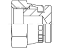 Picture of ORF