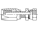 Picture of RNT-JIF