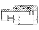 Picture of SWV-T-ORM-ORF